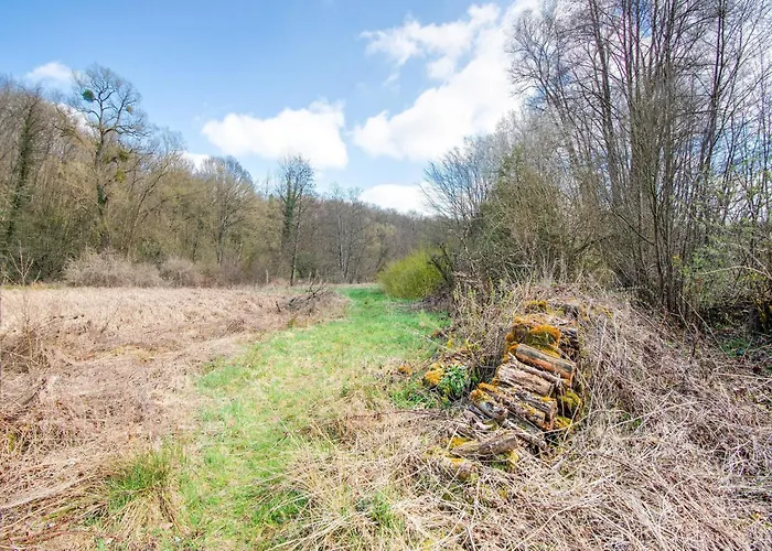 Vakantiehuis In With Garden